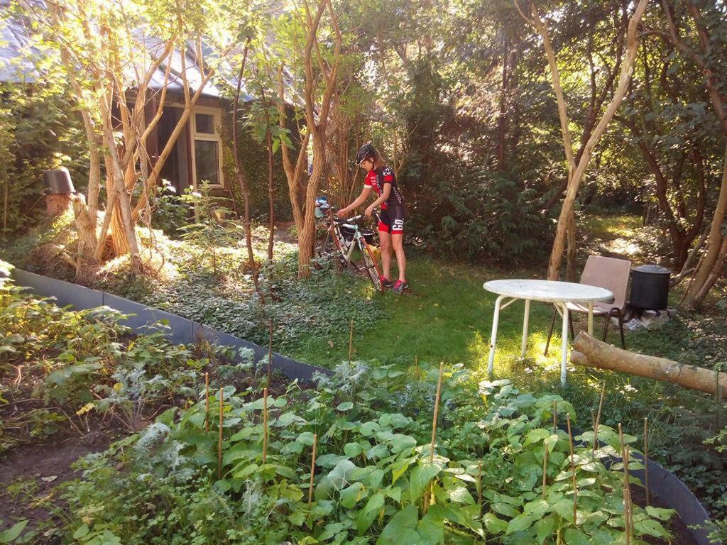 De Hoeve Mare Terre Giethoorn, Voor 1 Tot 6 Personen Esterno foto