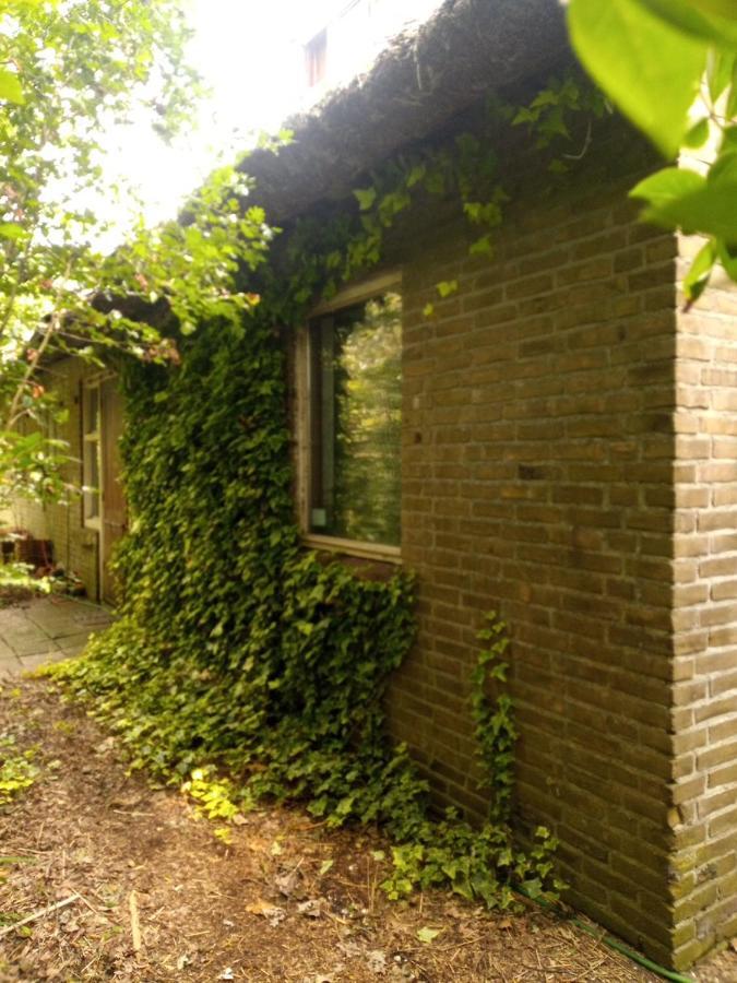 De Hoeve Mare Terre Giethoorn, Voor 1 Tot 6 Personen Esterno foto